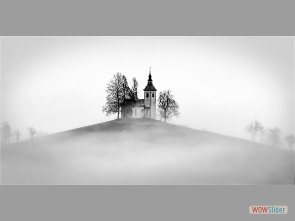 Misty Church-Chris Lafbury-Highly Commended