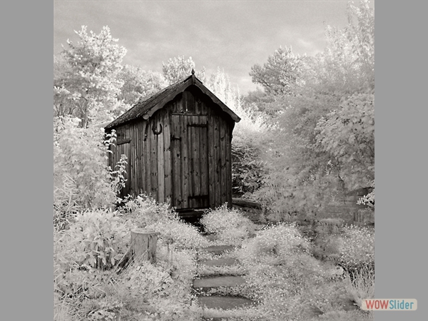 The Shepherds Hut - Bob Norris - Highly Commended