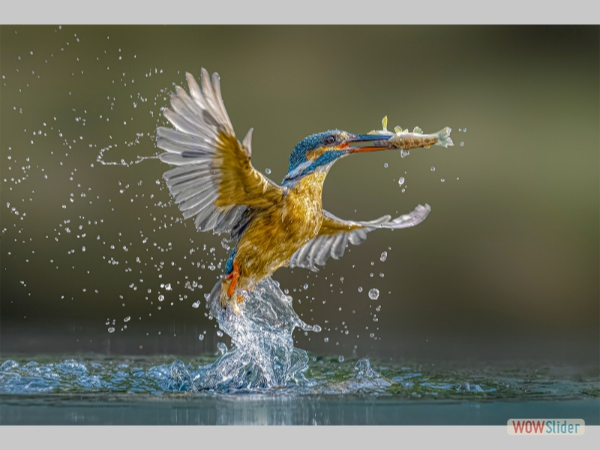 Emerging with Prize - Darren Summers