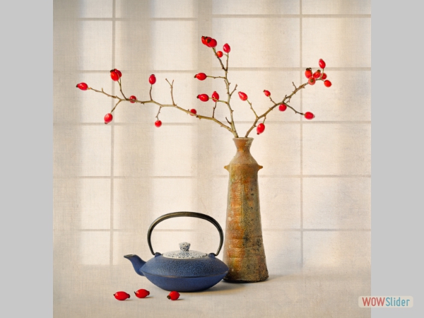 Japanese Still Life - Tom Plucinski - David Gibbins Award