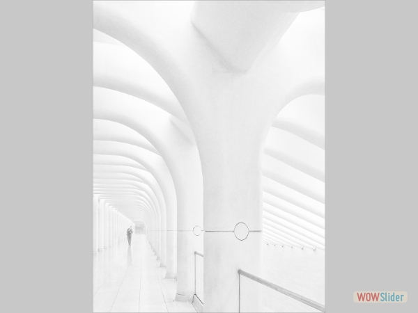 Oculus Walkway - Adele Gibson