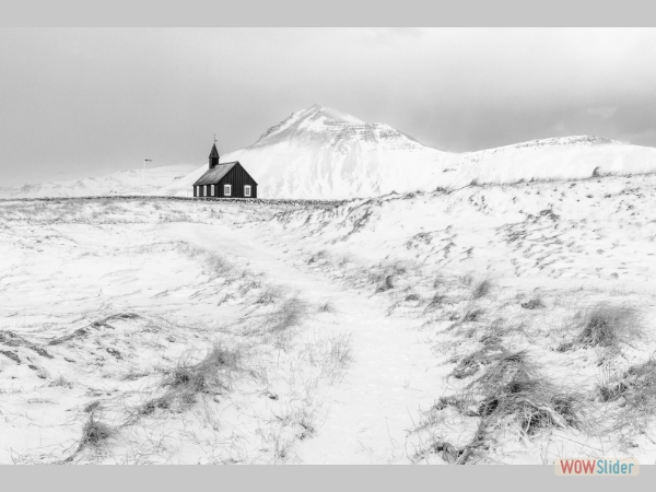 On the Right Path - Justin Minns - Carol McNiven Young Award