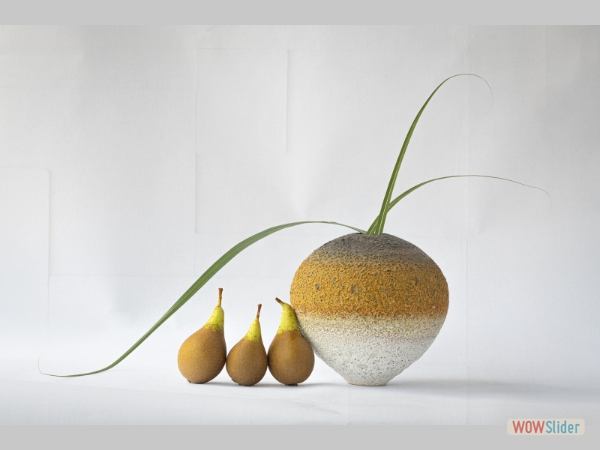 Still Life With Pears - Tom Plucinski - Corol McNiven Young Award